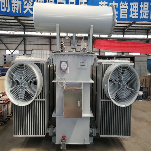 沧县S20-8000KVA变压器